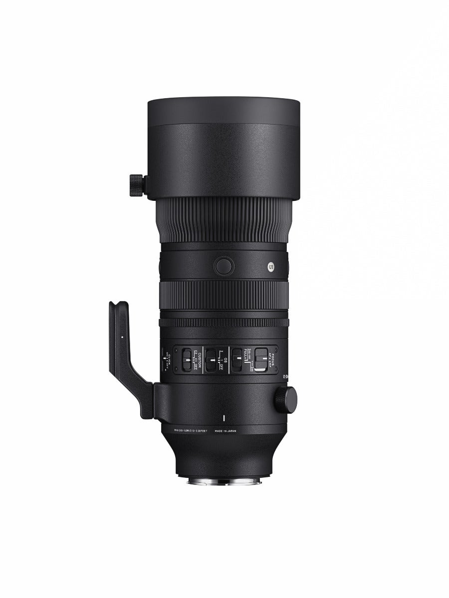 Sigma lenses for sony e deals mount