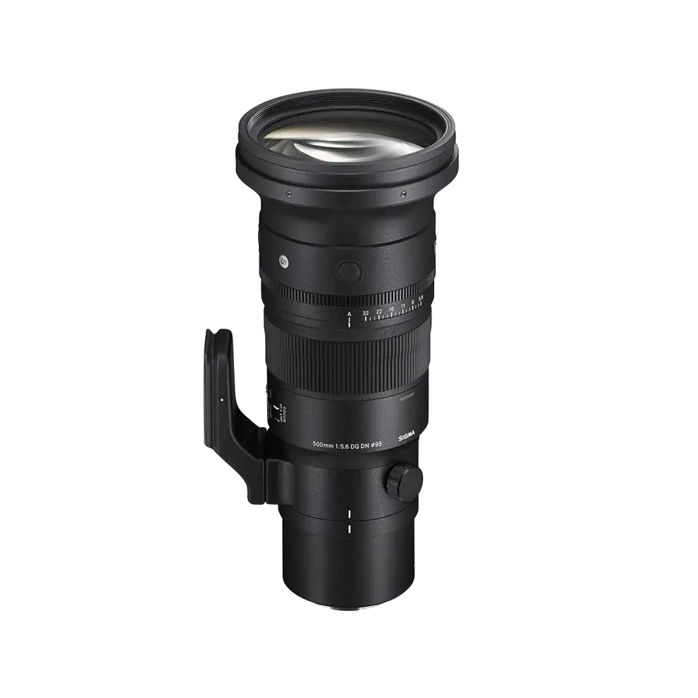 Sigma 500mm F5.6 DG DN OS | Sports - Sigma